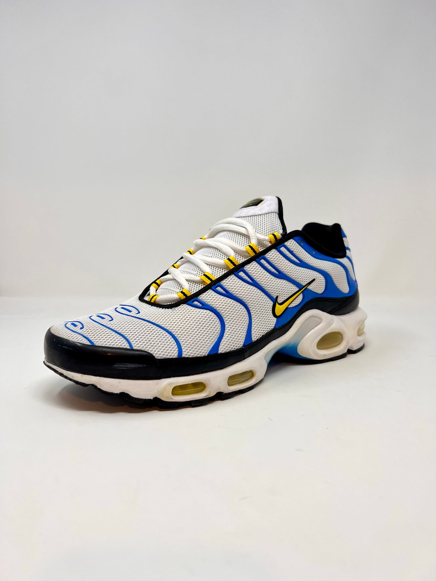 Nike Air Max Plus TN Paradise UK10