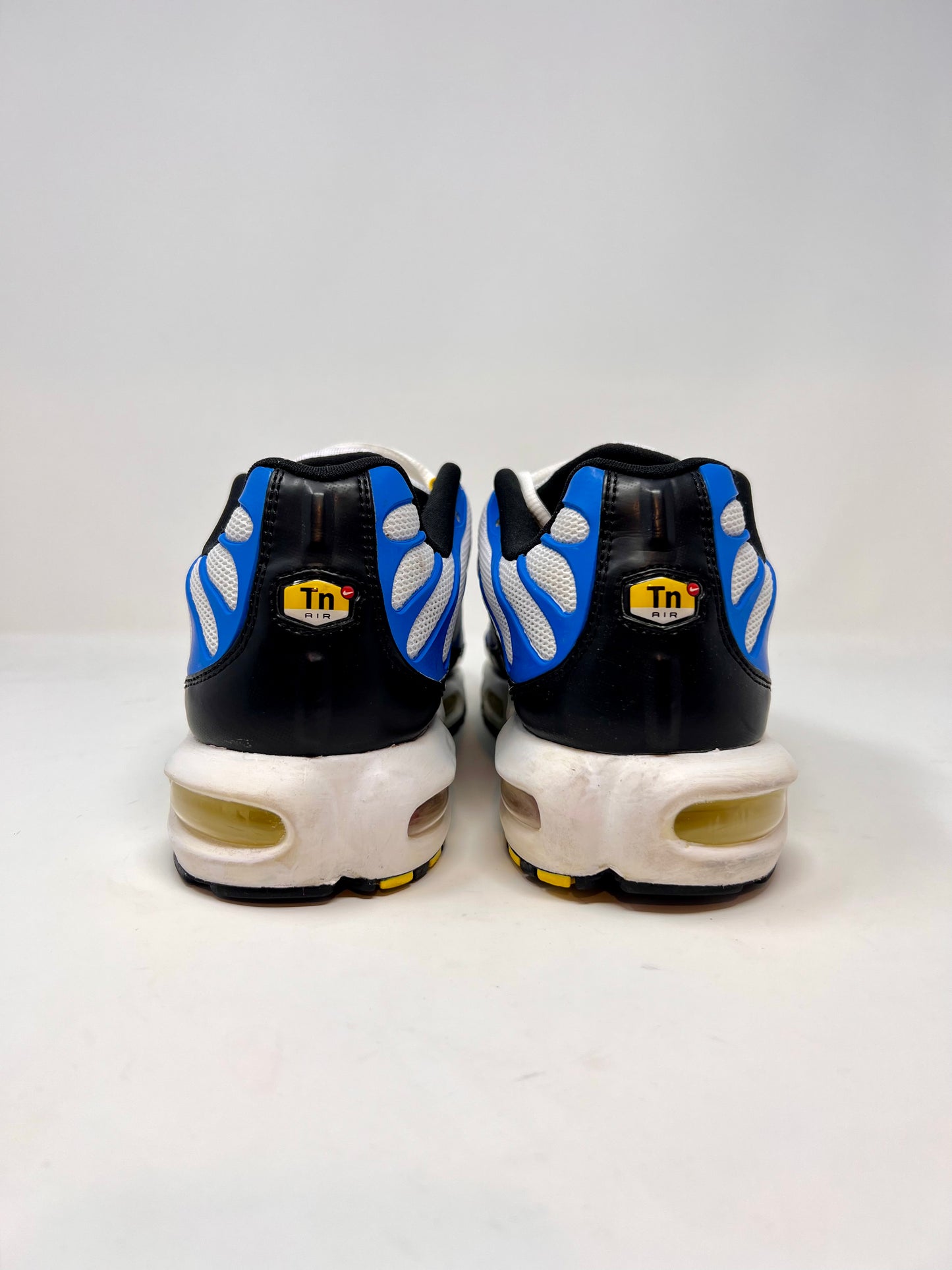 Nike Air Max Plus TN Paradise UK10