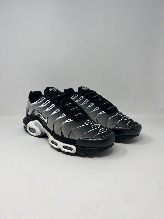 Nike Air Max Plus Smoke Grey UK11