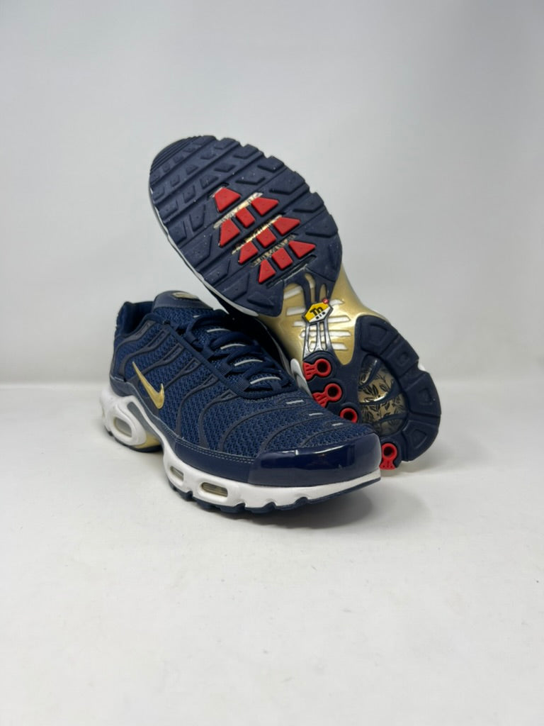 Nike Air Max Plus FFF Midnight Navy UK11