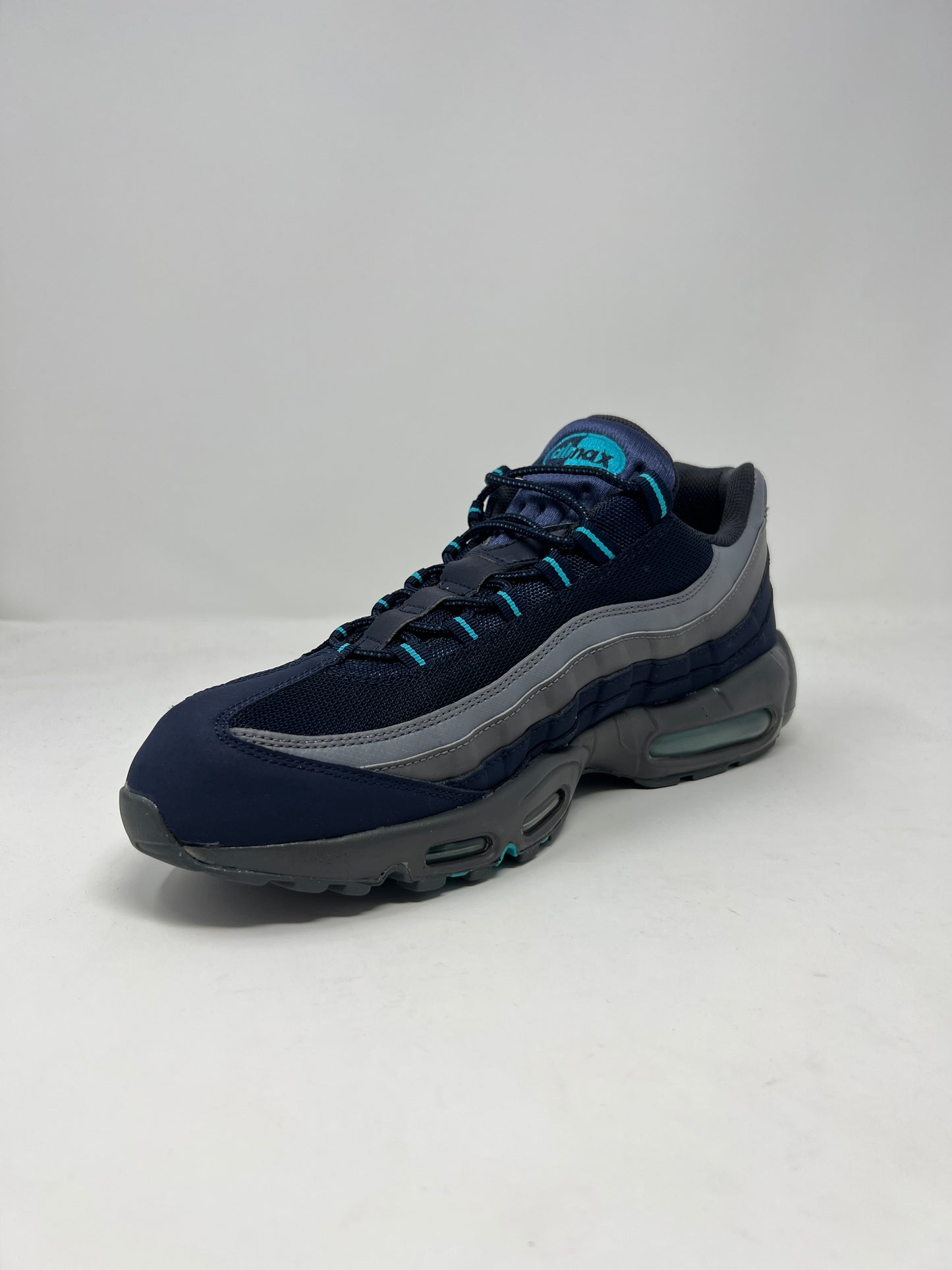 Nike Air Max 95 SI Obsidian Dusty Cactus UK11